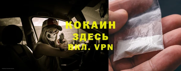 мет Арсеньев