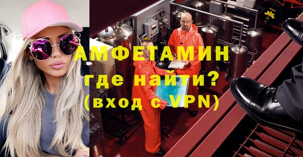 шишки Аркадак
