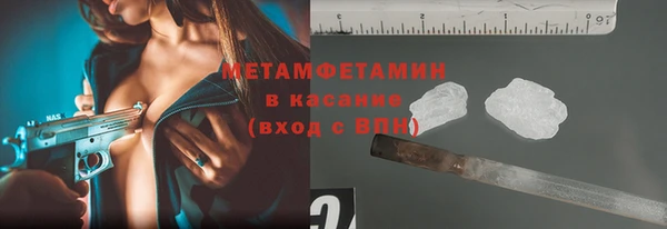 шишки Аркадак