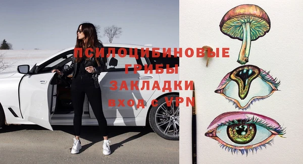 мет Арсеньев