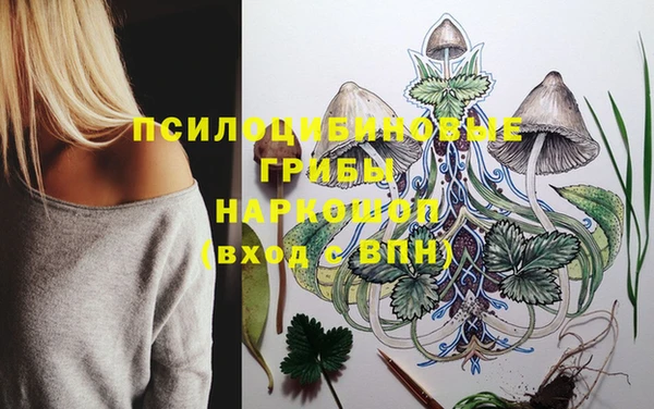 кокс Армянск